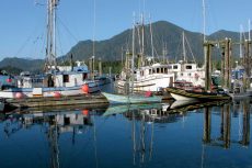 Tofino Harbour, Vancouver Island, BC