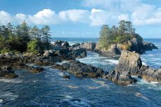 Wild Pacific Trail, Ucluelet, Vancouver Island BC