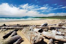 Crowded Shores, Long Beach, Pacific Rim National Park, Vancouver Island, BC
