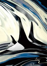 Arctic Traverse - Orcas