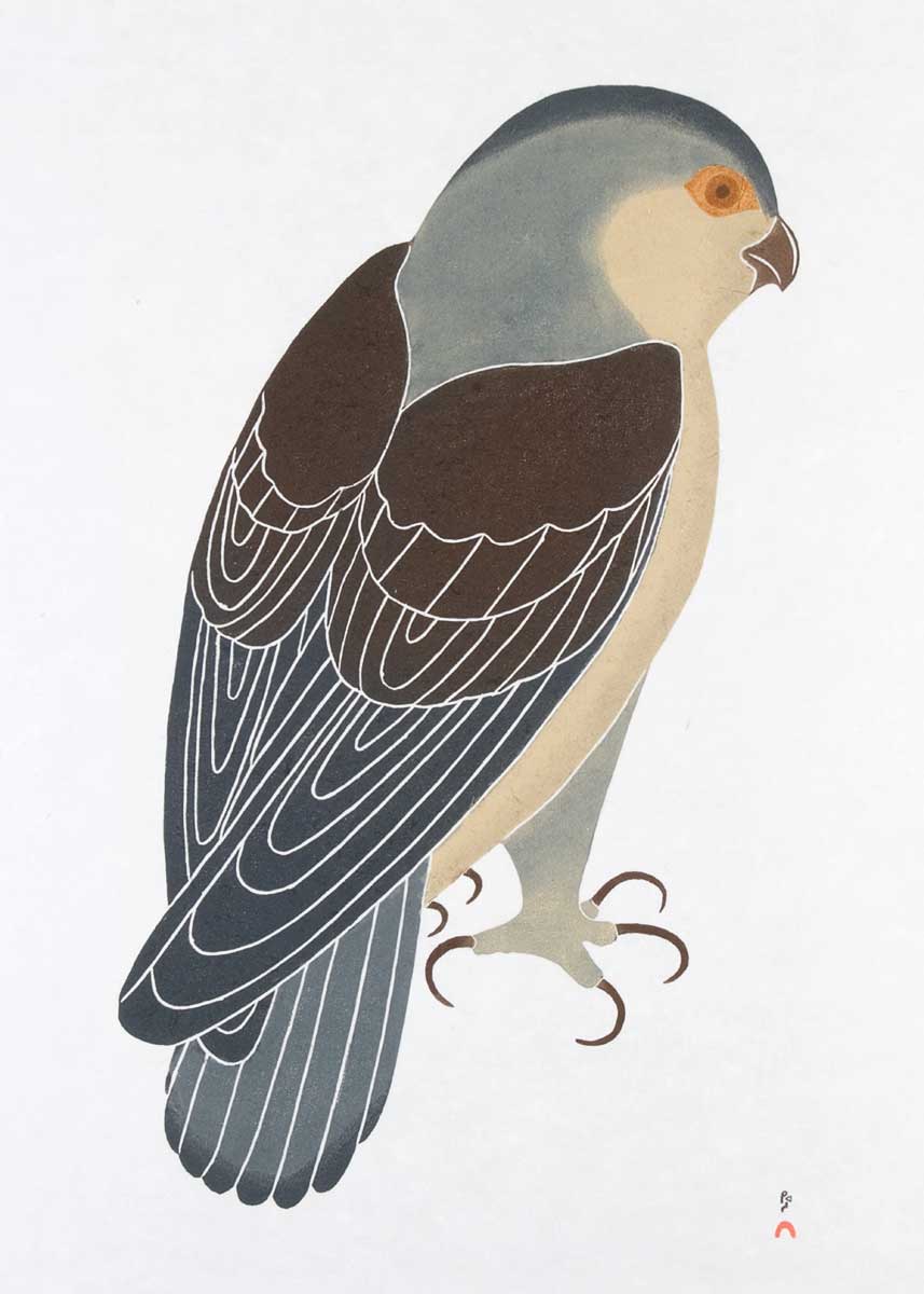 Watchful Falcon, 1989, stonecut & stencil (67.9 x 55.2 cm)